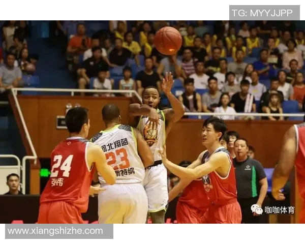 新疆队迎战深圳乐视体育全力争胜展现球队实力与韧性