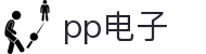PP电子(中国)有限公司官网
